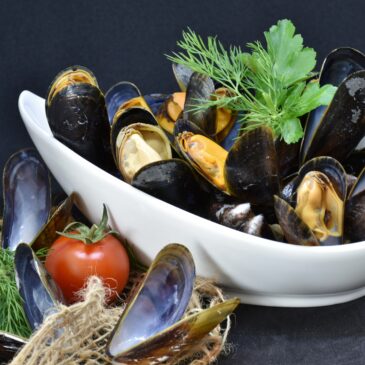 COZZE…