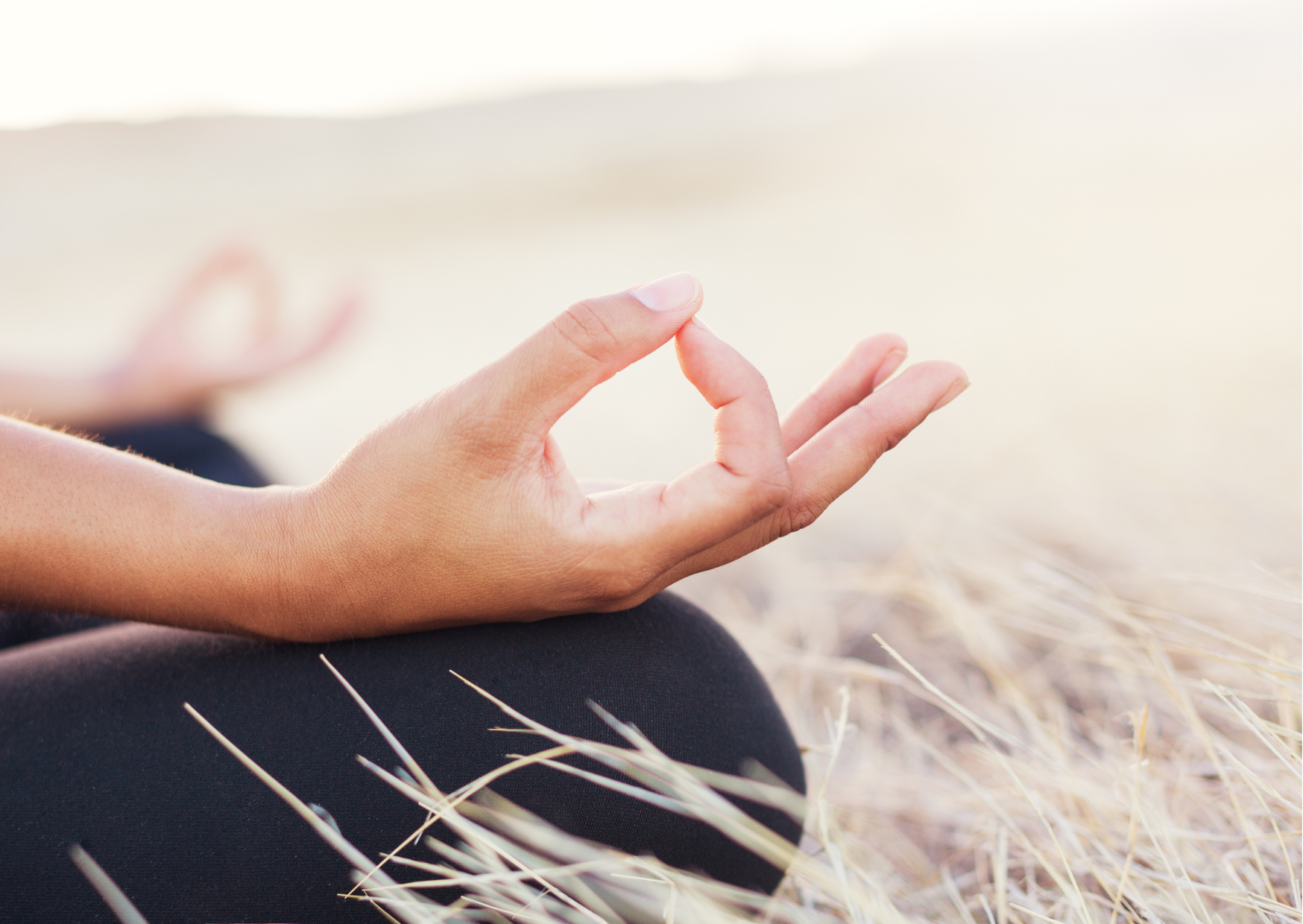 La Meditazione