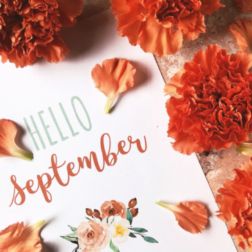 Hello September, si torna a scuola e a lavoro…